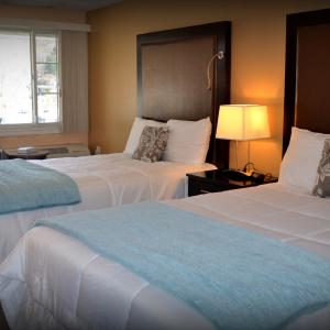 Standard Double Room with Two Double Beds