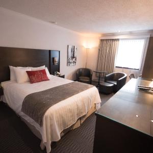 Business Comfort room with 1 double bed