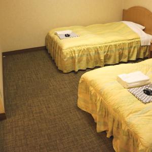 Superior Twin Room - Non-Smoking