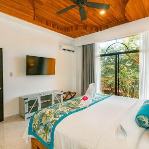 Suite Ballena