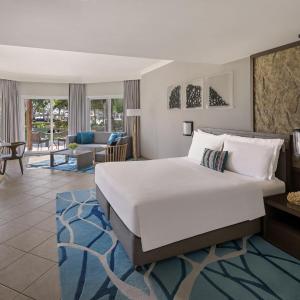 Garden View Suite with Terrace