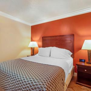 Two-Bedroom Queen Apartment with Sofa Bed and Full Kitchen - Pet Friendly/Non-Smoking