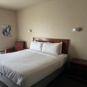 King Suite with Spa Bath