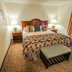 One-Bedroom Apartment (6 Adults)