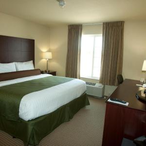 King Room - Disability Access