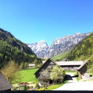 Triple Room with Mountain View