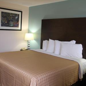 King Room - Non-Smoking