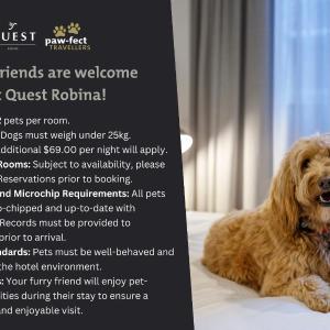 Studio - Pet Package