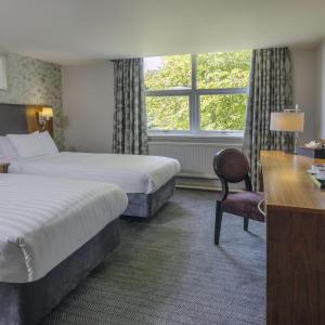 Standard Twin Room - Non-Smoking
