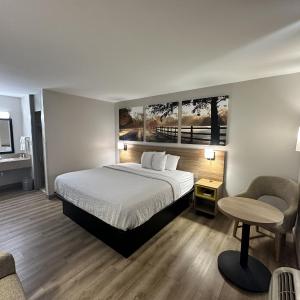 King Room - Non-Smoking
