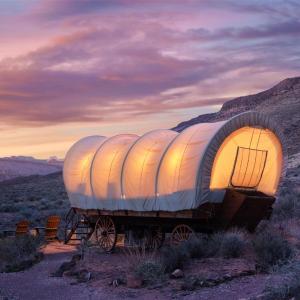 Showy Covered Wagon