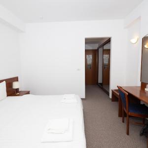 Deluxe One-Bedroom Apartment