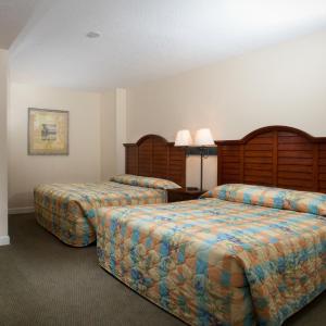 1 Bedroom 1 Bath Side-view Condo with 2 Queens and Wall Bed - T29