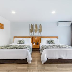 Twin Suite