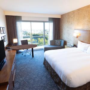 King Room with Roll-In Shower - Disability Access