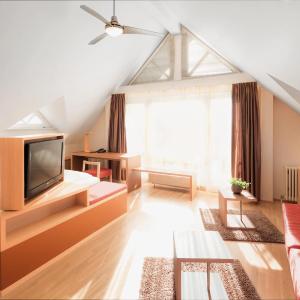 STUDIO No 301 - 45qm - with living and sleeping room - balcony lake view