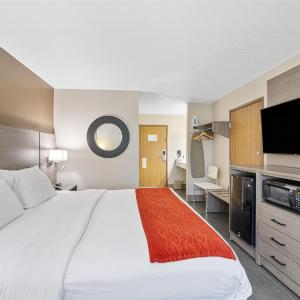 King Room with Walk-In Shower - Mobility Access