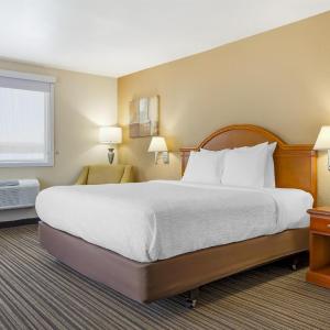 King Suite with Spa Bath - Non-Smoking