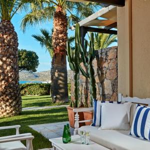 Deluxe Palm Suite