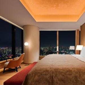 One-Bedroom Deluxe King Suite with Skyline View