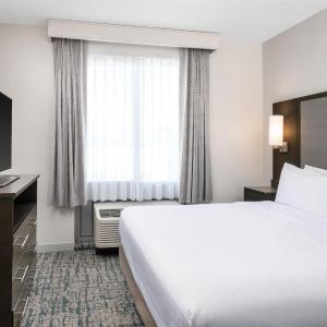 Premium King Studio Suite - Non-Smoking