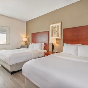 Business Queen Room with Two Queen Beds