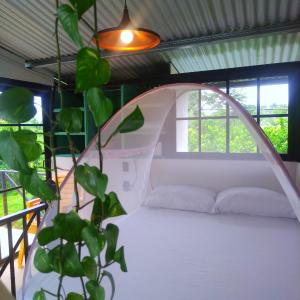 Studio with Balcony