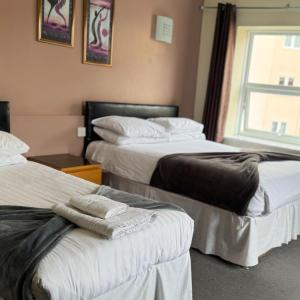 Family Room (2 Adults + 1 Child)