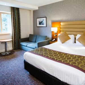 Standard Double Room with Sofa Bed
