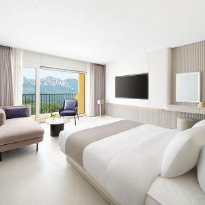 Deluxe European One Room(NO Kitchen)