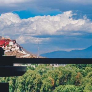Horizon Club Twin Room with Potala View
