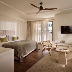 Premium Executive Suite