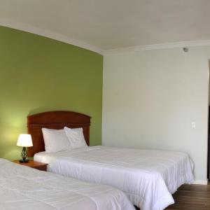 Queen Suite