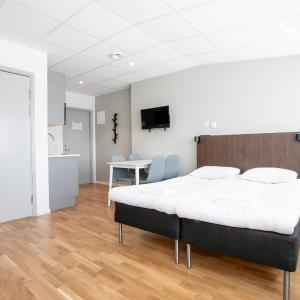 Studio with Sofa Bed