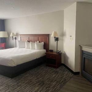 King Suite with Sofa Bed, Fireplace and Kitchenette - Non-Smoking