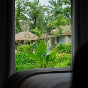 One-Bedroom King Villa