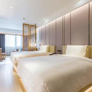 Executive Twin Room