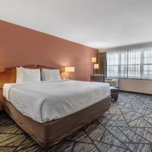 King Room - Non-Smoking