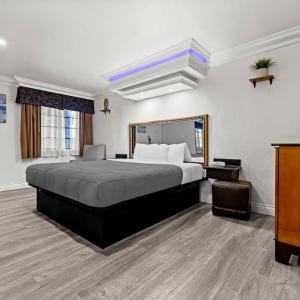 King Room with Roll-In Shower - Disability Access/Non Smoking