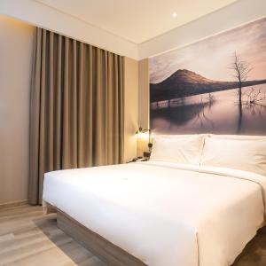 Elegant Double Room