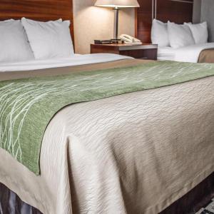 Queen Room with Two Queen Beds - Non-Smoking