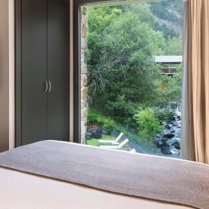 Superior Room with View