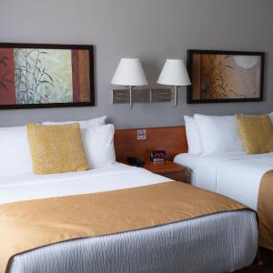 Double Room with Two Double Beds