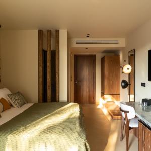Premium Double or Twin Room with private pool	