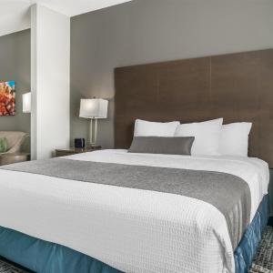 King Suite with Sofa Bed - Non-Smoking