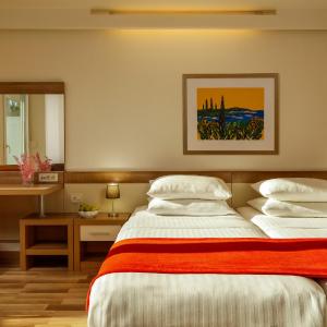 Special Offer - Double Room with Wellness Package