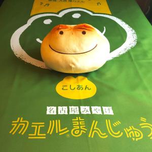 Frog manju Room