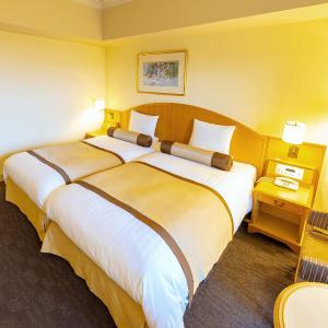 Superior Hollywood Twin Room with Park View