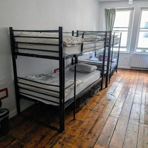 Bunk Bed in Large Mixed Dormitory Room