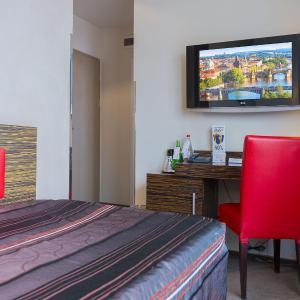 Single Room with Terrace